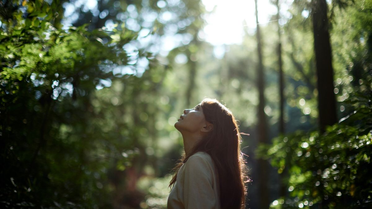 Paul Bloom (62), psicólogo: «La felicidad humana no depende solo del placer, sino también del sentido que damos a lo que vivimos»
