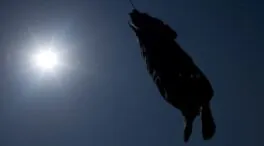 Bruselas critica que el ritmo de penas de muerte en Irán es «espantoso» y pide su abolición