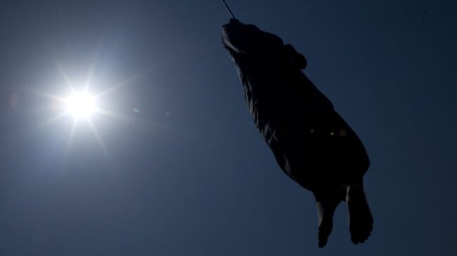 Bruselas critica que el ritmo de penas de muerte en Irán es «espantoso» y pide su abolición