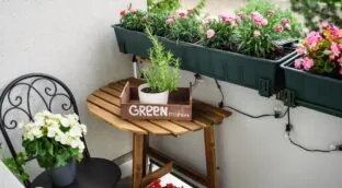 David González, interiorista, sobre las terrazas pequeñas: «No se trata de llenarla de plantas, sino de colocarlas con una idea clara para que no se vea caótica»