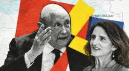 Ribera en aprietos: la Eurocámara pide a la Comisión que revise un proyecto de Forestalia