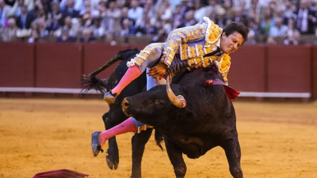 Roca Rey, cogido aparatosamente al entrar a matar al quinto toro en Sevilla