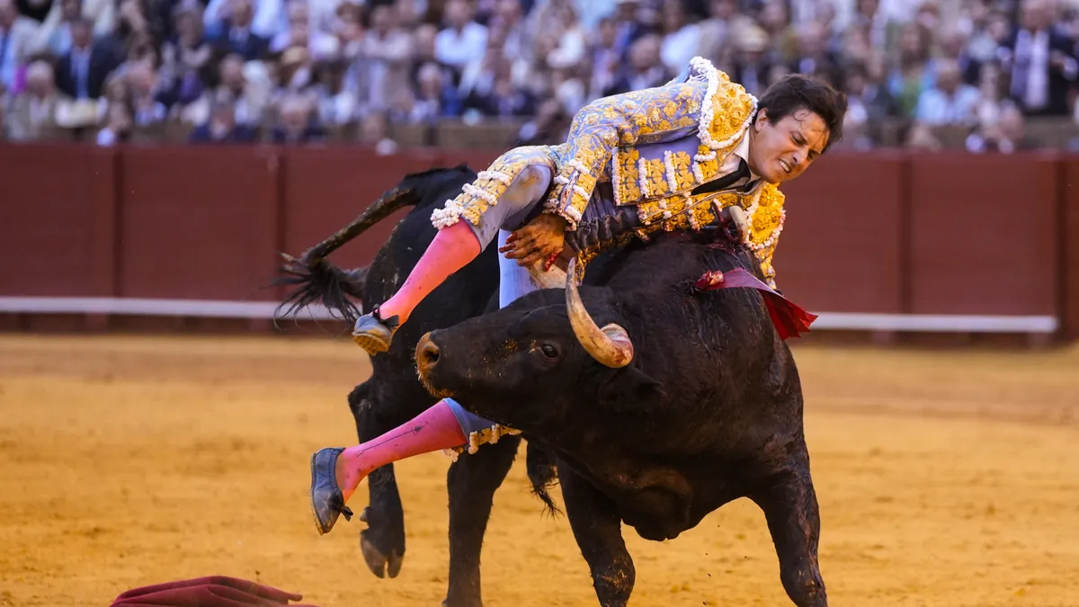 Roca Rey, cogido aparatosamente al entrar a matar al quinto toro en Sevilla