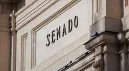 El Senado, con abstención del PP, rechaza una iniciativa de Vox para ilegalizar a Bildu