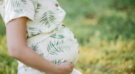 El aumento de la ovodonación y la 'in vitro' refleja la evolución del perfil familiar en España