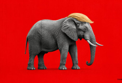 La 'trumpa' del elefante en la cacharrería democrática