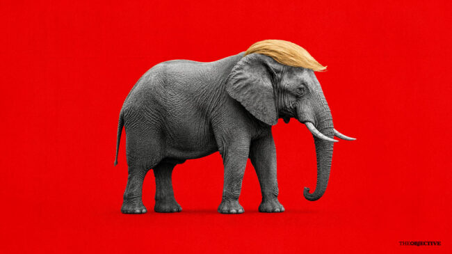 La 'trumpa' del elefante en la cacharrería democrática