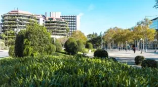 

Anillos verdes, techos de abeja… ¿qué es la biodiversidad urbana? 



