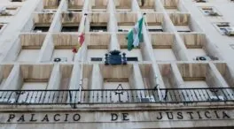 Seis meses de prisión a un vigilante que llamó «moro terrorista» a una enfermera palestina