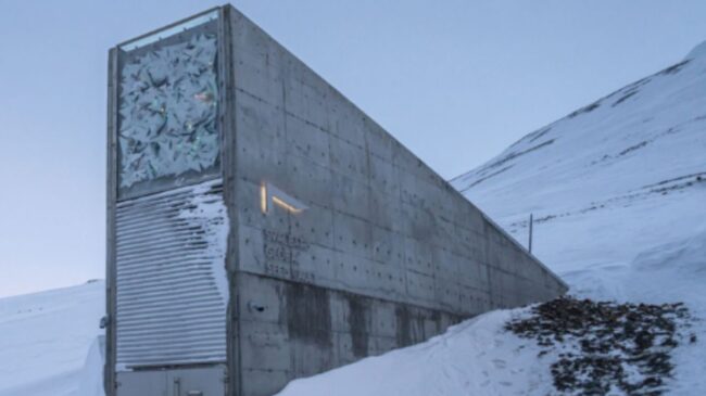 El banco mundial de semillas de Svalbard, premio Princesa de Cooperación Internacional