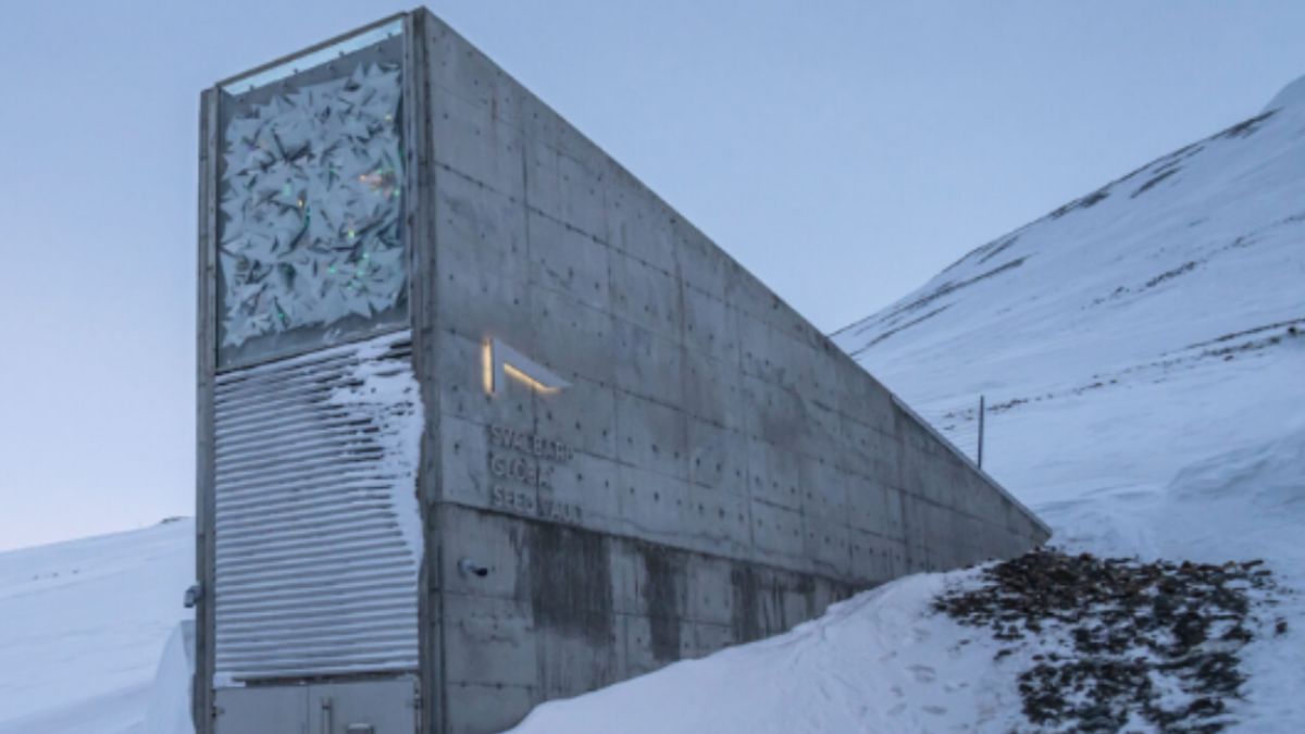 El banco mundial de semillas de Svalbard, premio Princesa de Cooperación Internacional