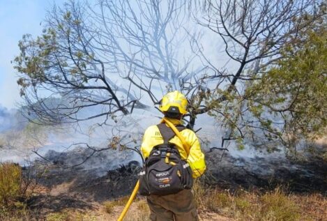 El incendio en el Parque Nacional de Doñana ya está estabilizado