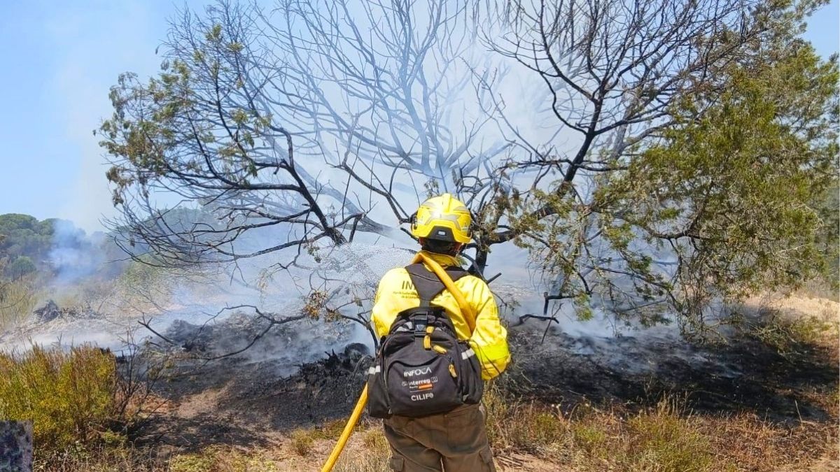 El incendio en el Parque Nacional de Doñana ya está estabilizado