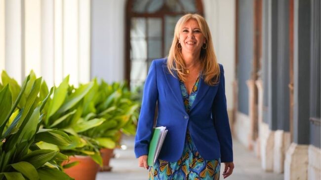 La Junta afirma que los «contactos» con Vox en Andalucía no «tardarán mucho» en iniciarse