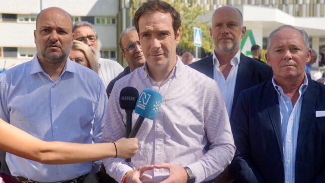 Vox asegura que no pedirá «sillones» en un gobierno de Moreno sino cambio de políticas