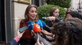Gamarra niega que el abogado del PP ofreciera a Koldo colaborar para no ir a la cárcel