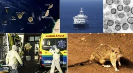 El Instituto Coordenadas alerta del riesgo reputacional para Canarias por el crucero