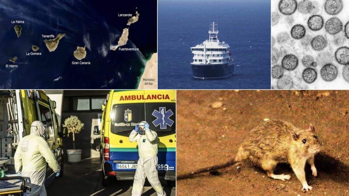 El Instituto Coordenadas alerta del riesgo reputacional para Canarias por el crucero
