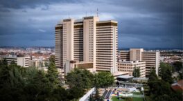 El positivo español de hantavirus sigue estable y «con mejoría de sus síntomas»
