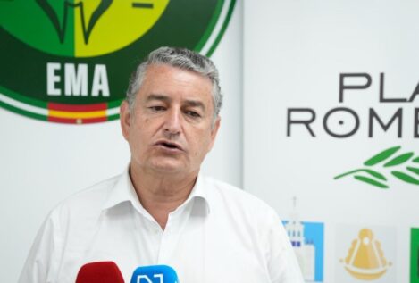 Un menor de 16 años resulta herido en El Rocío tras ser arrollado por un caballo
