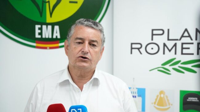 Un menor de 16 años resulta herido en El Rocío tras ser arrollado por un caballo
