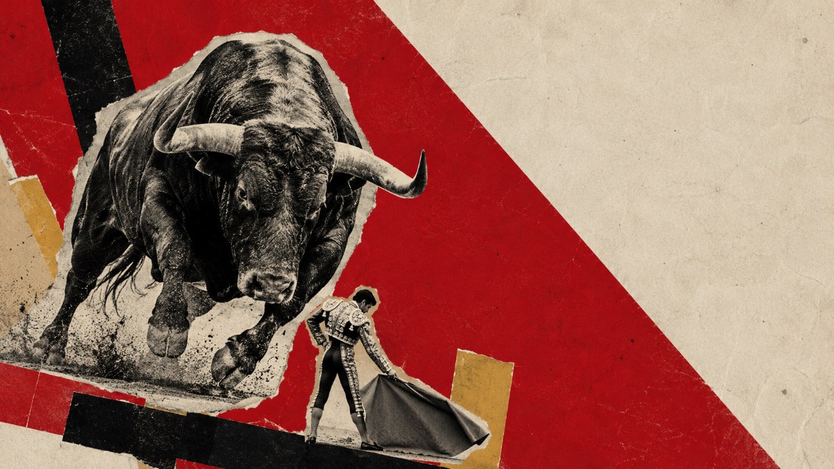 La tauromaquia, esa anomalía