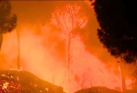 Más de 130 efectivos continúan trabajando en el incendio de Doñana, activo desde el domingo
