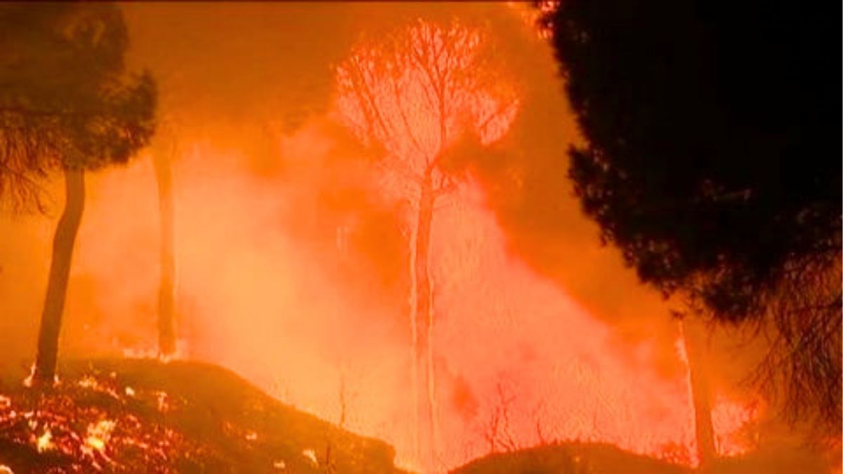 Más de 130 efectivos continúan trabajando en el incendio de Doñana, activo desde el domingo