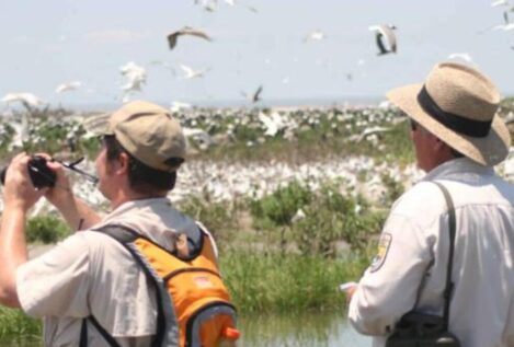 Un viaje para ver pájaros por Argentina, Uruguay y Chile, posible origen del brote de hantavirus