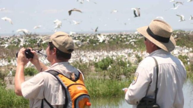 Un viaje para ver pájaros por Argentina, Uruguay y Chile, posible origen del brote de hantavirus