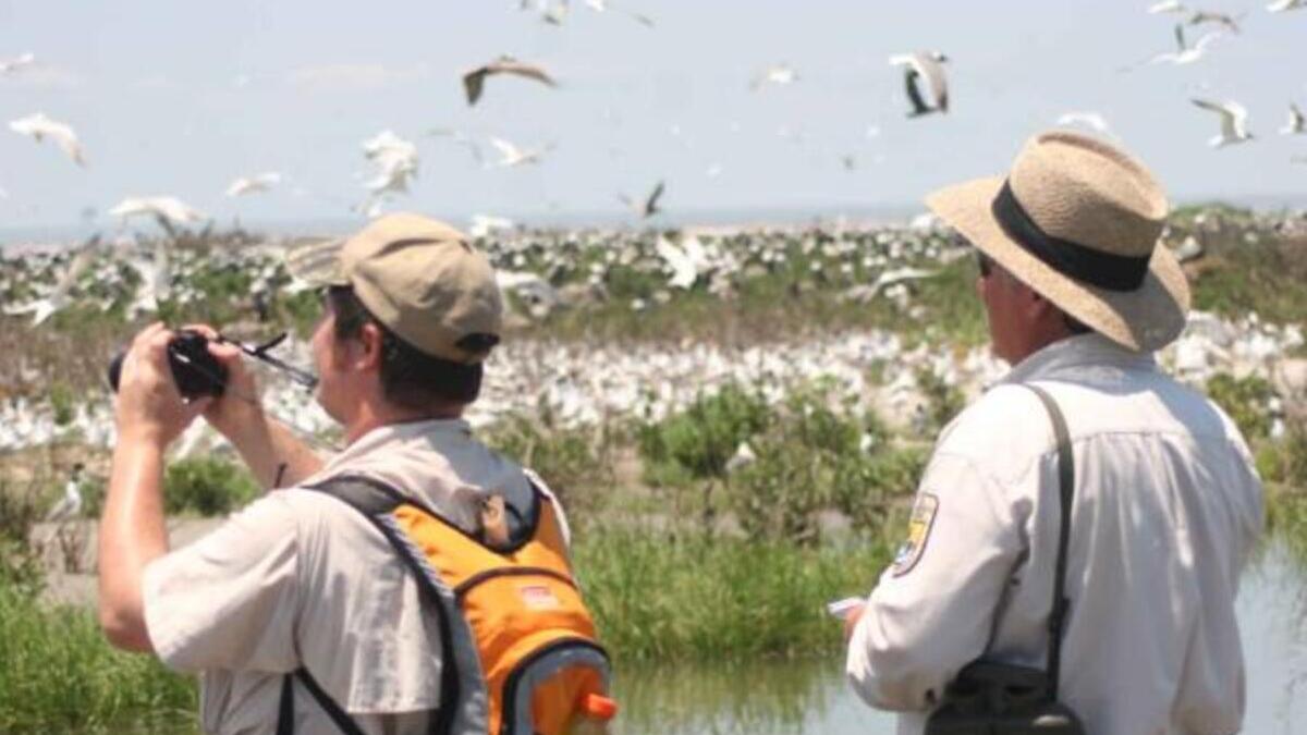 Un viaje para ver pájaros por Argentina, Uruguay y Chile, posible origen del brote de hantavirus