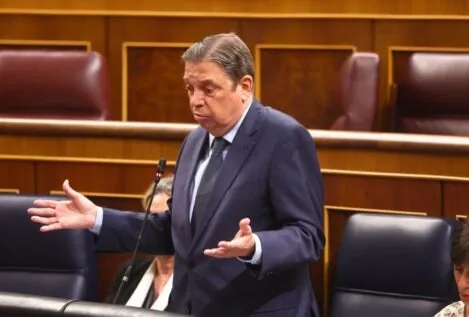El Gobierno abona 1.081 millones a agricultores y ganaderos afectados por las borrascas
