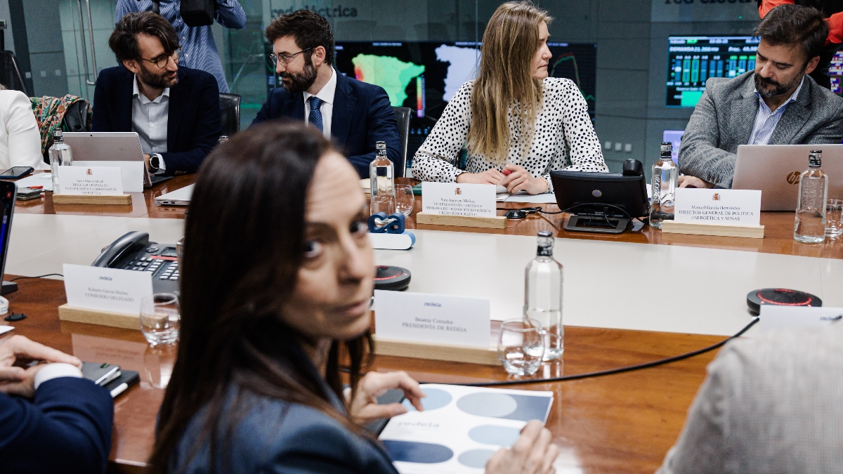 Red Eléctrica gasta 366 millones en un aparato antiapagón que ya tenían las plantas de carbón