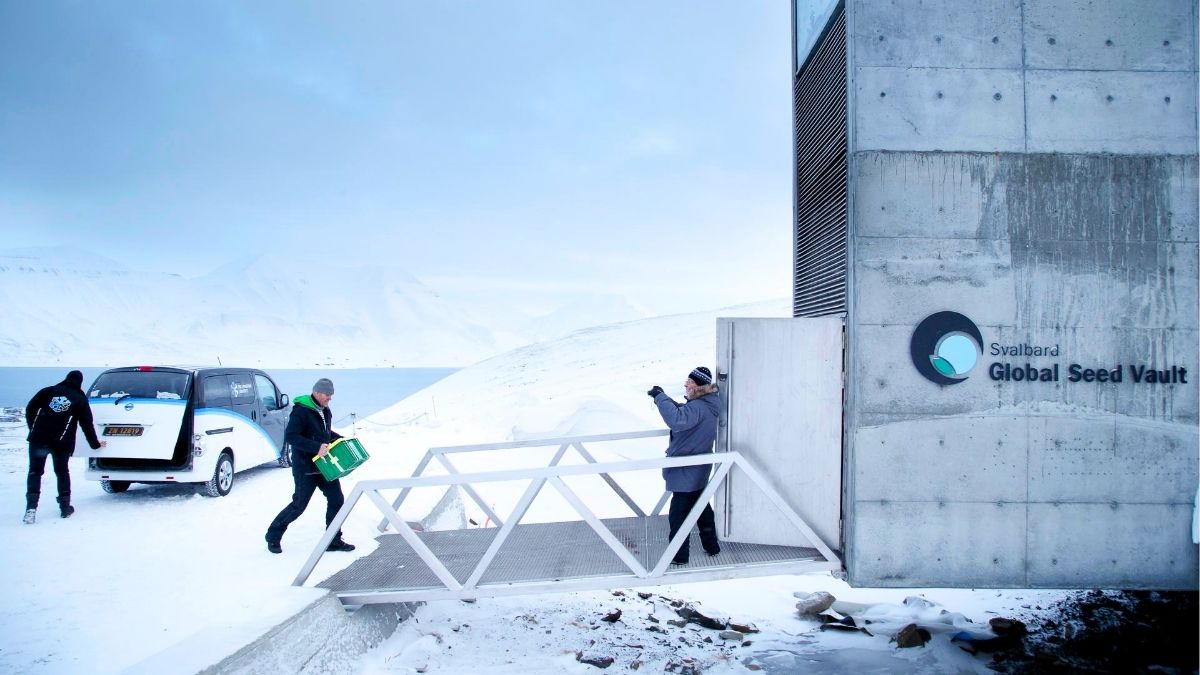 La Bóveda de Svalbard, el mayor Banco Mundial de Semillas que se conservan en el Ártico