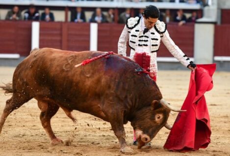 La única izquierda que triunfa en Madrid… es la de Talavante