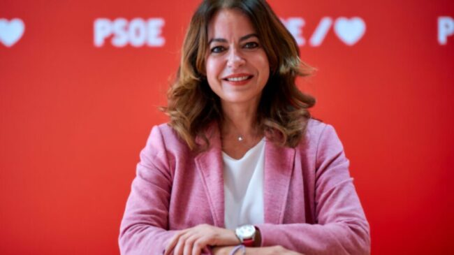 El PSOE acusa a Clavijo de «alimentar el miedo» ante la llegada del crucero con hantavirus
