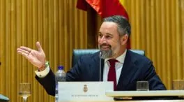 El Supremo anula una sanción a Vox de 862.496 euros al no apreciar financiación irregular