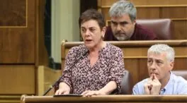 Bildu rechaza un adelanto electoral porque sería «favorecer» a la derecha