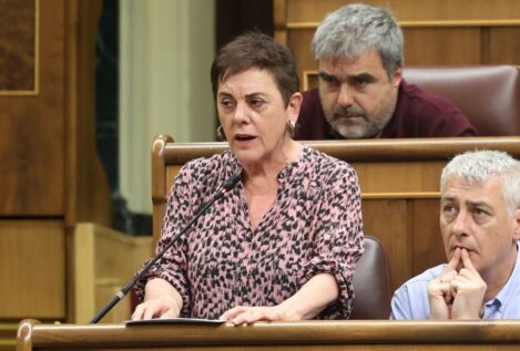 Bildu rechaza un adelanto electoral porque sería «favorecer» a la derecha