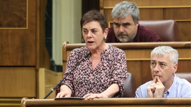 Bildu rechaza un adelanto electoral porque sería «favorecer» a la derecha