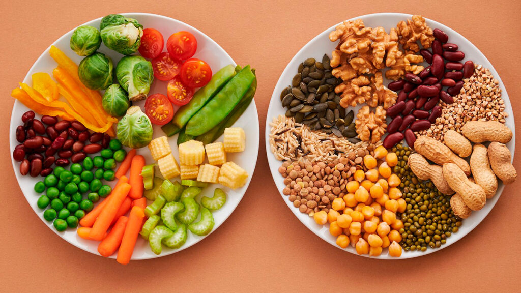 platos proteínas vegetales