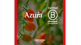 Azura obtiene la certificación B Corp para quienes operan su negocio de tomates cherry