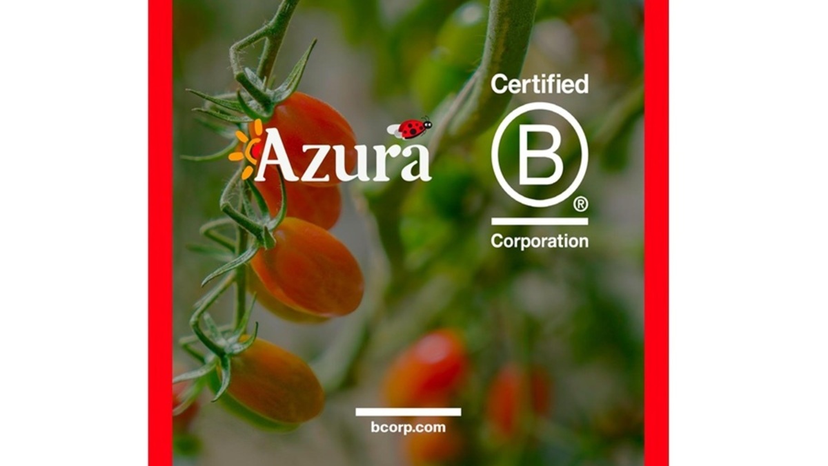 Azura obtiene la certificación B Corp para quienes operan su negocio de tomates cherry