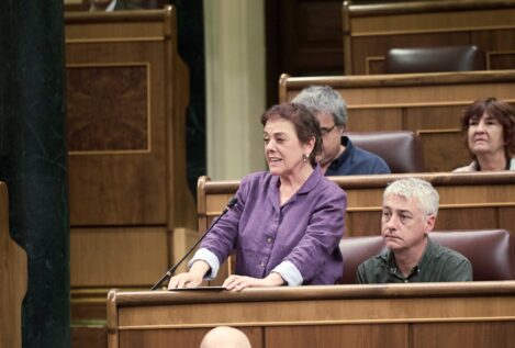 Bildu advierte a Sánchez que no basta con «resistir» y debe actuar ante la corrupción