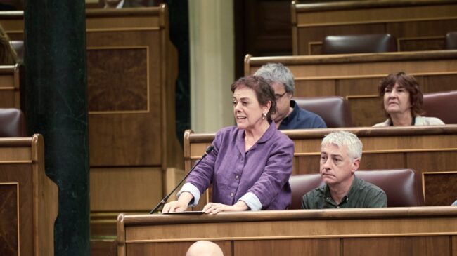 Bildu advierte a Sánchez que no basta con «resistir» y debe actuar ante la corrupción