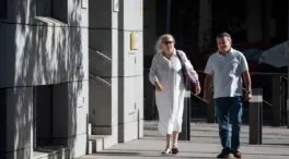Pano ratifica que la abogada de Koldo le intentó sobornar para que cambiase su declaración
