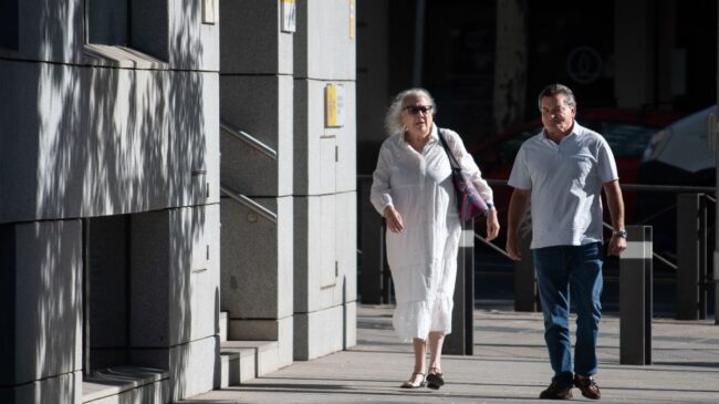 Pano ratifica que la abogada de Koldo le intentó sobornar para que cambiase su declaración