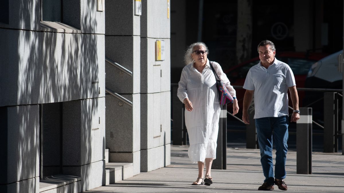 Pano ratifica que la abogada de Koldo le intentó sobornar para que cambiase su declaración