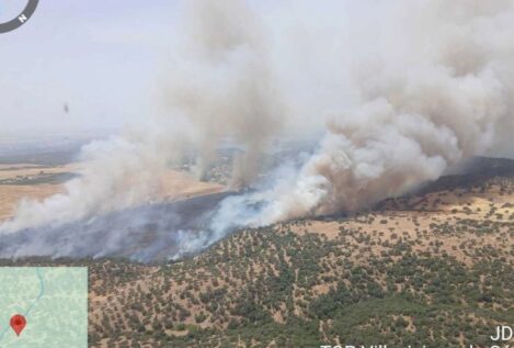 Controlado en Granada el incendio forestal que afecta a un paraje de la Alpujarra