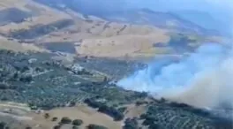 Extinguido el incendio forestal declarado en Antequera